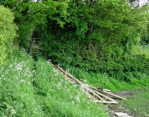 Path before the work began